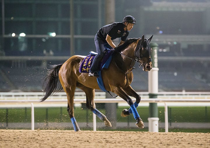 Versatility a plus for Almond Eye in Dubai Turf